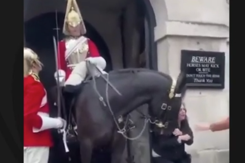 Cavalo Da Guarda Real Morde Turista Em Londres Veja V Deo Blog Do Fm